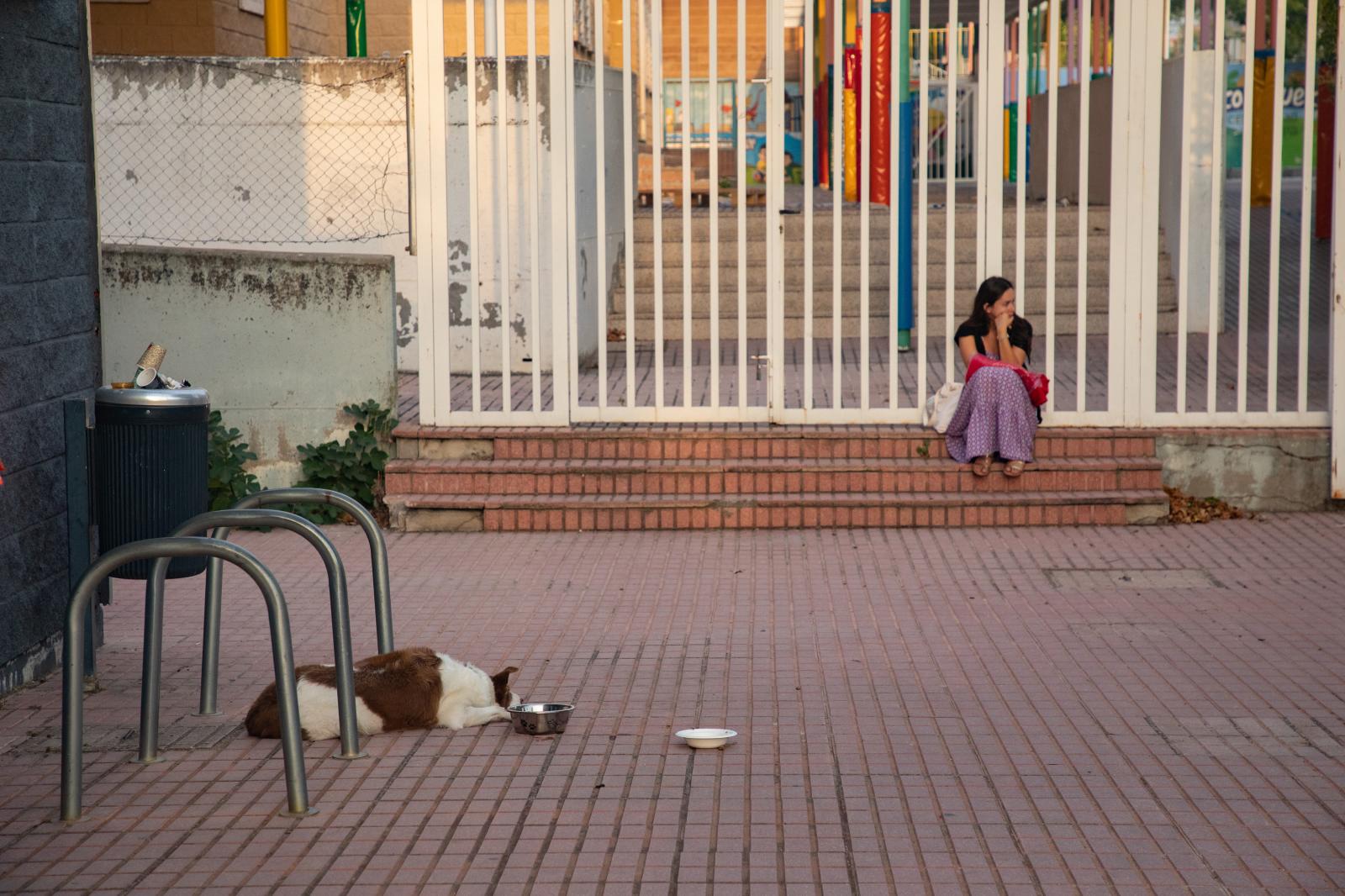 Una mujer y un perro en el Espacio Enrique Mas dónde han pasado la noche los vecinos desalojados por el incendioen Tres Cantos