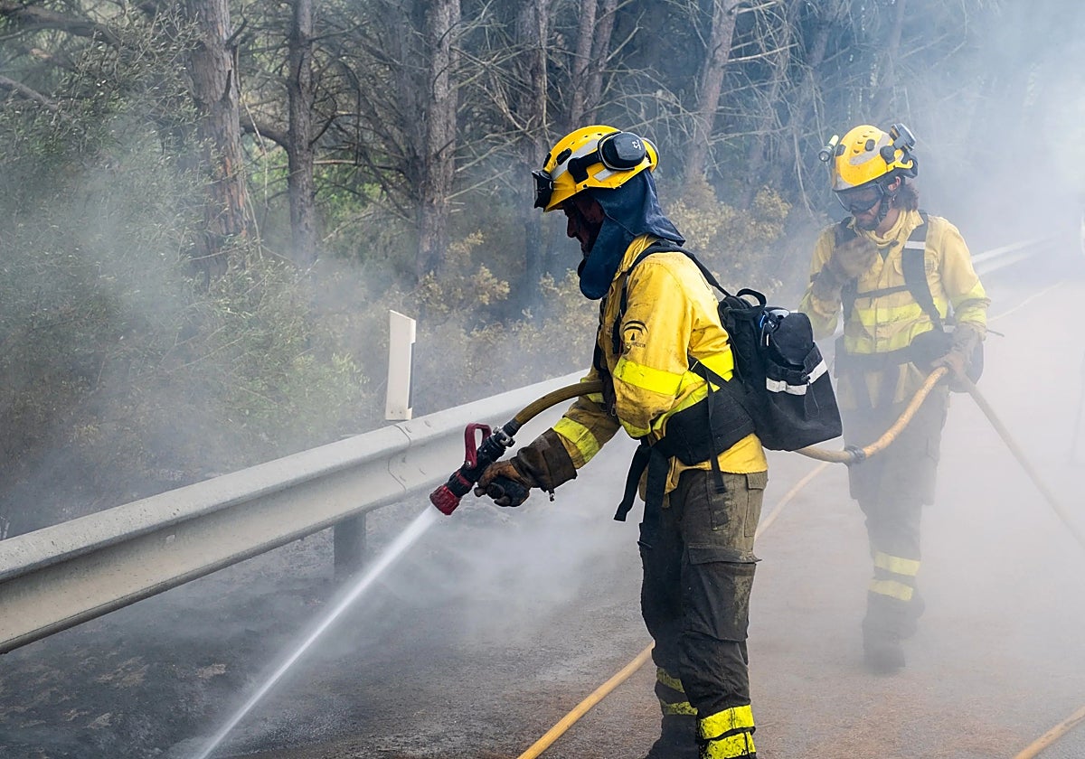 Dos operarios del Infoca en plena faena