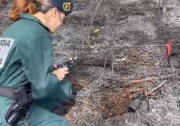 Una foto ayuda a cazar a la autora de cuatro incendios en La Coruña: es vecina de la zona y tiene 63 años