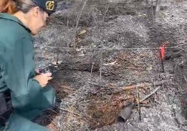 Una foto ayuda a cazar a la autora de cuatro incendios en La Coruña: es vecina de la zona y tiene 63 años