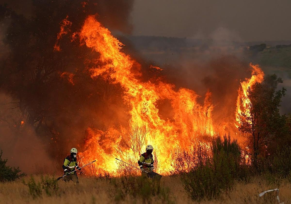 Trabajadores de extinción de uno de los incendios de Castilla y León, en la provincia de Zamora.