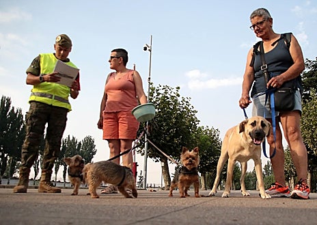 Imagen secundaria 1 - Sobre estas líneas, el polideportivo Lydia Valentín de Ponferrada, preparado para acoger a los brigadistas que trabajan en la extinción del incendio. Debajo, evacuados en Astorga e indignación entre los vecinos de La Bañeza por un bulo sobre recogida de alimentos