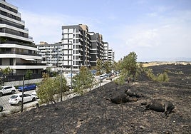 Tres Cantos activa un plan de ayuda para las víctimas del incendio