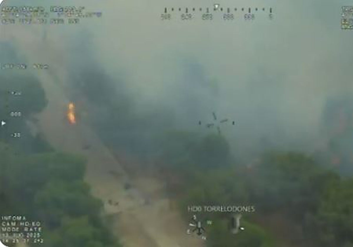 Incendio de vegetación