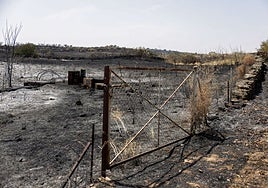 Extinguido el incendio iniciado el pasado lunes en Navalmoralejo (Toledo), que se extendió a la provincia de Cáceres