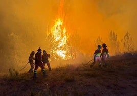 Efectivos de la UME, trabajando en uno de los incendios de Castilla y León