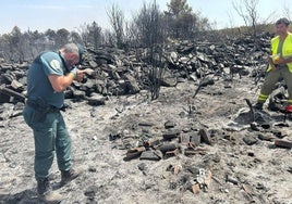Un detenido por provocar el incendio que ha vuelto a poner en jaque a la sierra de la Culebra