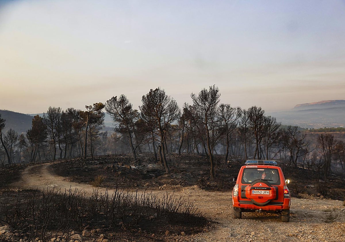 Imagen del terreno calcinado por el incendio en Teresa de Cofrentes