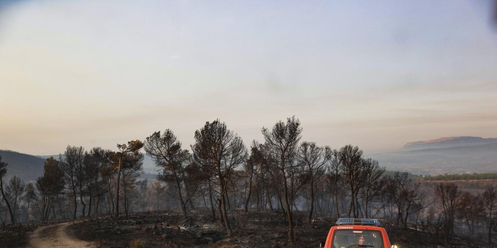 El incendio forestal de Teresa de Cofrentes queda perimetrado tras afectar a más de 500 hectáreas