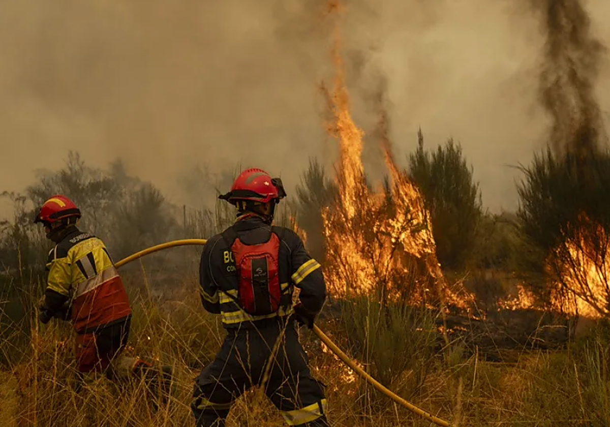 Bomberos sofocan incendio forestal