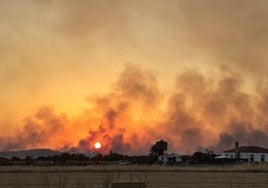 Extremadura respira: mantiene cuatro focos activos, pero la situación mejora en Jarilla y en el sur de Badajoz