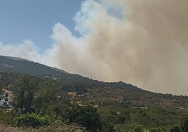 El incendio de Jarilla toma fuerza en una zona de pinar y obliga a confinar el municipio de Casas del Monte