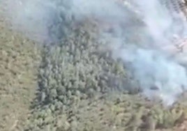 Dos incendios en El Casar de Escalona  (Toledo) y Horcajo de los Montes (Ciudad Real) movilizan a más de 100 efectivos del Infocam