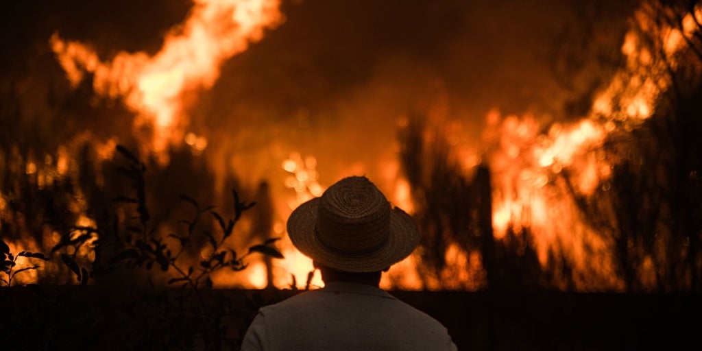 La presión sobre los incendiarios crece: una decena de detenidos y un encarcelado