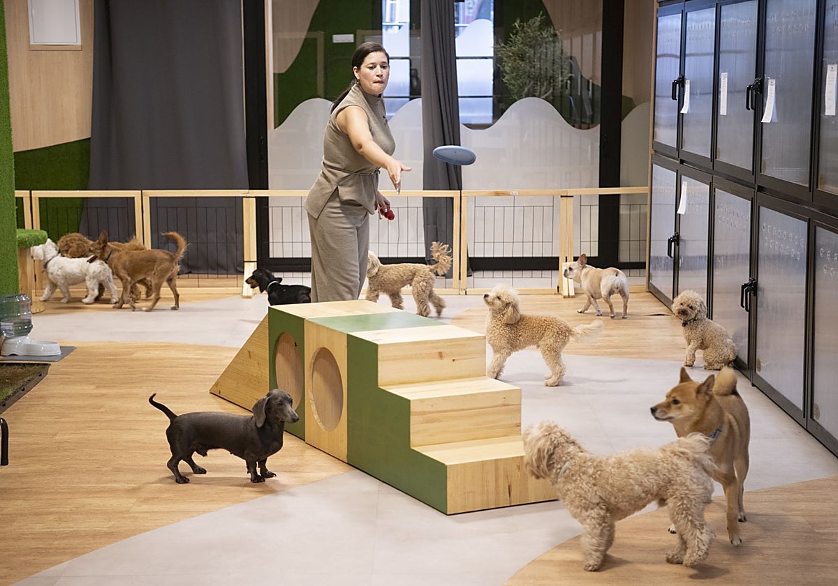 Estancia principal del hotel canino, que está situado en la zona de Retiro