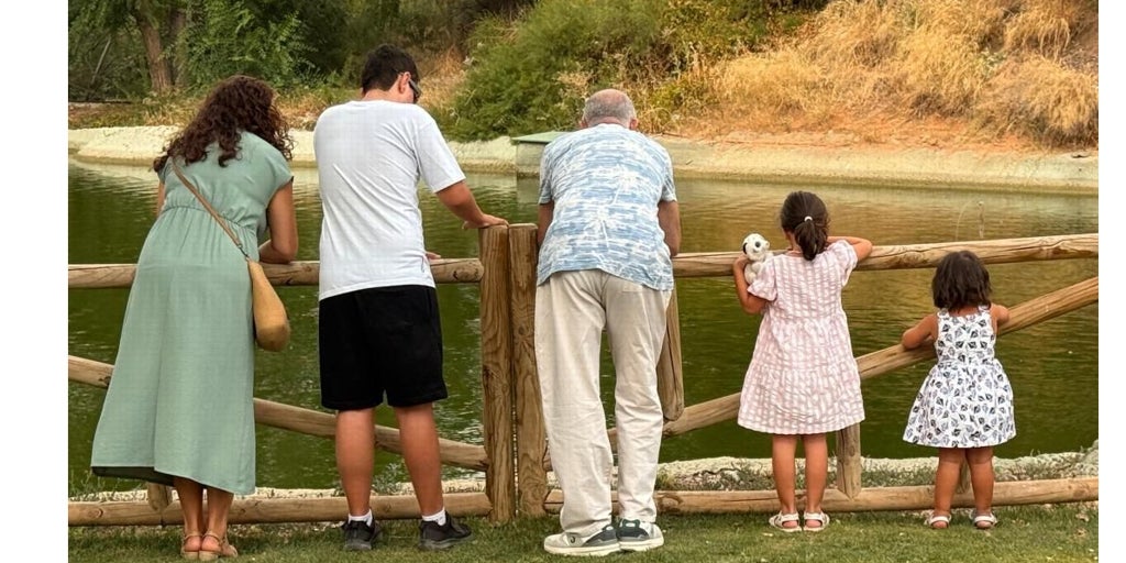 Ya son 669 los menores de Castilla-La Mancha que viven con una familia de acogida