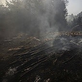 En libertad la mujer de 81 años detenida por conatos de incendio en Celanova (Orense)