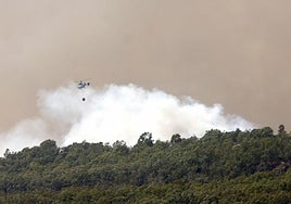 El fuego ha quemado ya casi 300 hectáreas más que el año pasado en Andalucía
