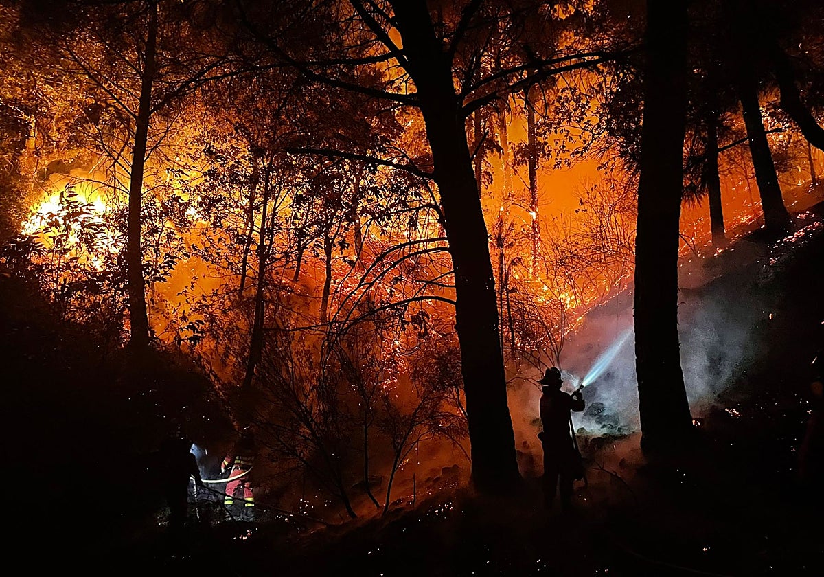 Miguel Cueto, ingeniero de montes: «El coste de la extinción del fuego es más del doble que el de la prevención»