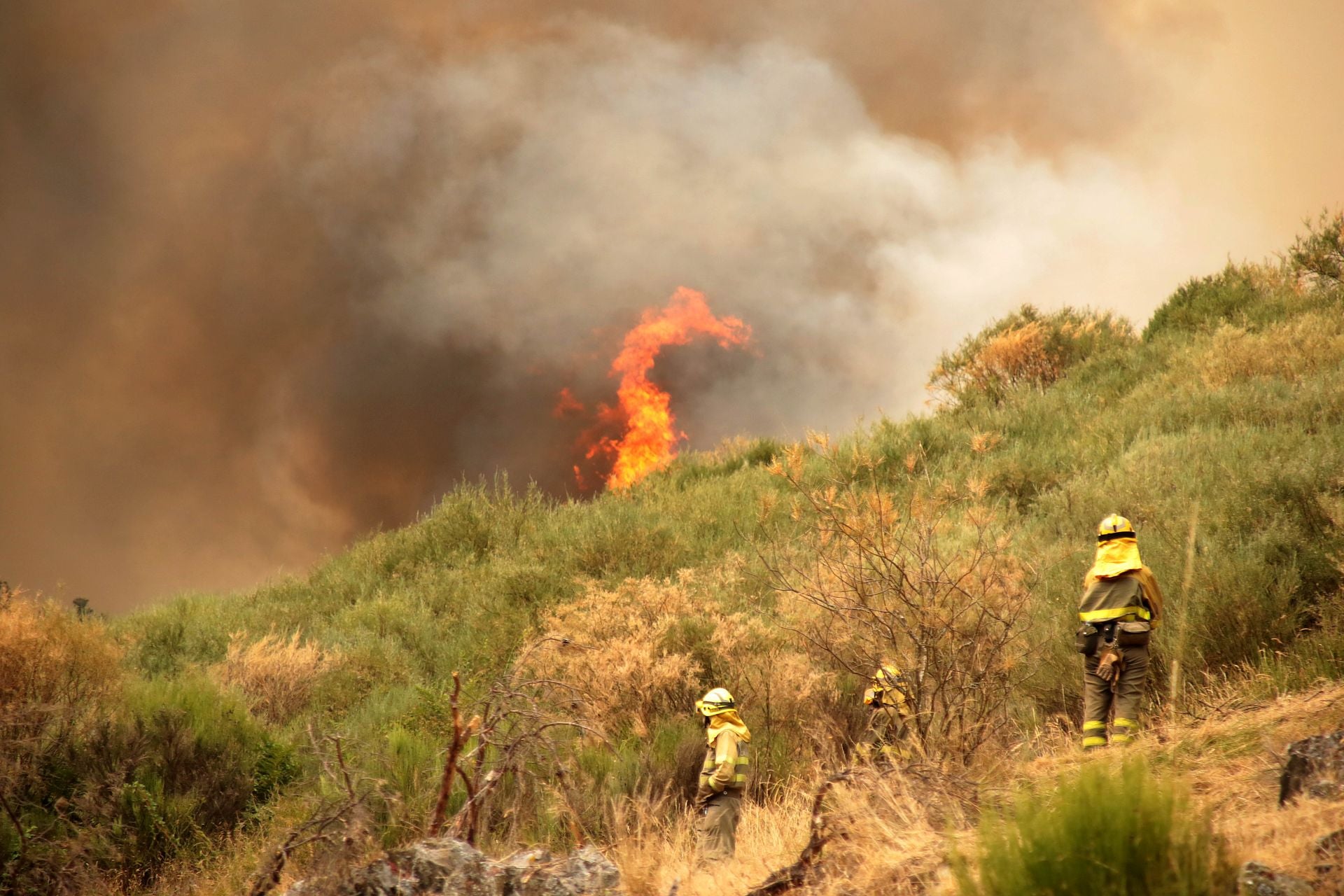 Los servicios de extinción en el incendio de Fasgar, en León