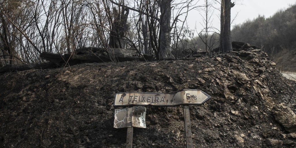 EL DÍA DESPUÉS DEL FUEGO: CUANDO LLUEVEN CENIZAS