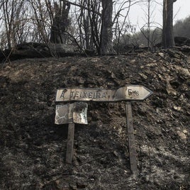 EL DÍA DESPUÉS DEL FUEGO: CUANDO LLUEVEN CENIZAS