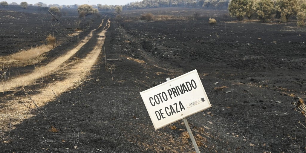 Castilla y León, en situación «extrema» pese al alivio de la meteorología