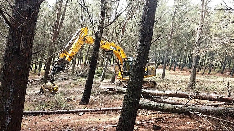 Calefacciones de biomasa para luchar contra los incendios forestales en Málaga
