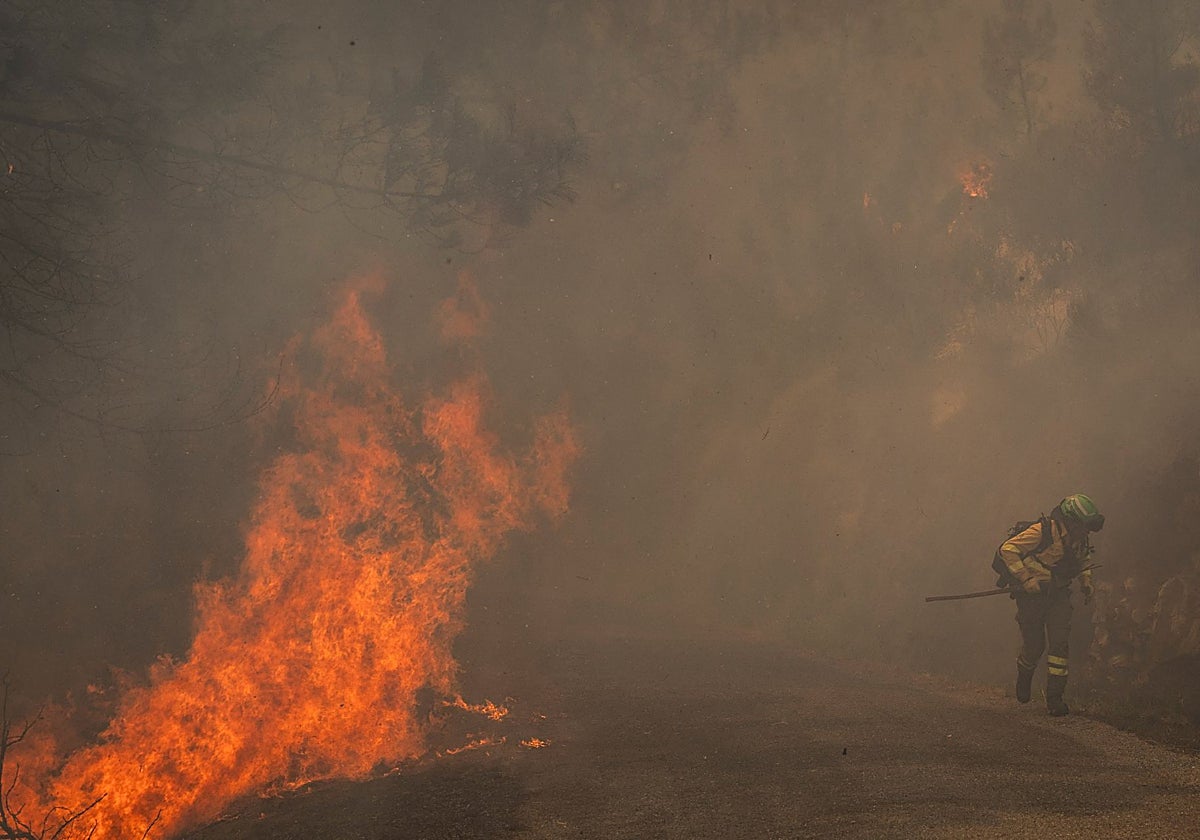Bombero forestal frente al avance del incendio de Larouco, que ya alcanza las 20.000 hectáreas calcinadas