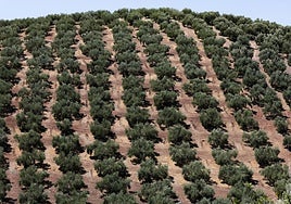 Mora y Ajofrín, contra las posibles expropiaciones: «Ya nos tocará pagar esos fondos europeos gastados en 'tontás'»