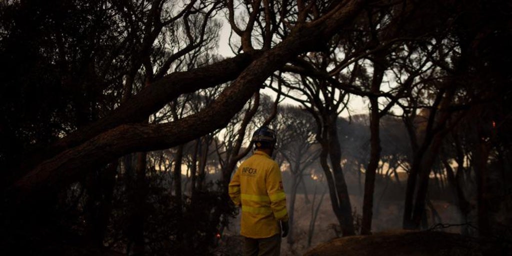 Infoca despliega 122 efectivos y 13 medios para ayudar en los incendios en España