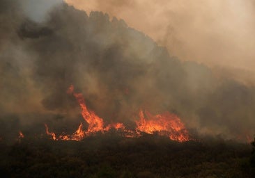 Un incendio intencionado junto a otro activo obliga a nuevas evacuaciones en la provincia de León