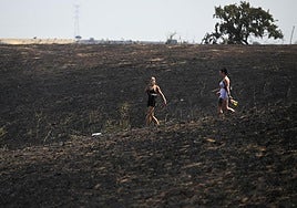 Tres Cantos avanza en la recuperación tras el incendio: más de 12 toneladas de residuos retirados