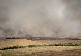 Una colilla mal apagada originó el incendio de Méntrida (Toledo), de más de 3.000 ha, según Nofumadores