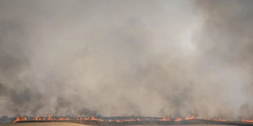 Una colilla mal apagada originó el incendio de Méntrida (Toledo), de más de 3.000 ha, según Nofumadores