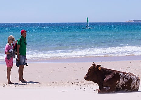 Imagen secundaria 1 - Isabel Pantoja, Pastora Vega, Imanol Arias y Aitana Sánchez-Gijón, de los primeros VIP que descubrieron la costa de Cádiz