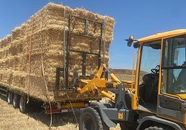 El campo toledano muestra su lado más solidario con los que han perdido todo en los incendios
