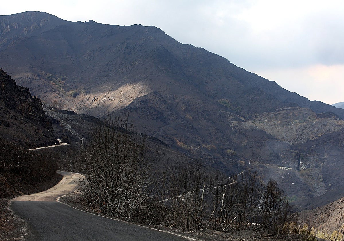 Efectos del incendio que ha afectado al municipio de Oencia (León)