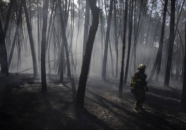 Los criterios y técnicas del pasado «no valen» para detener futuros incendios