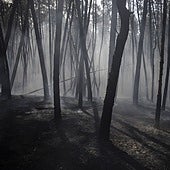Los criterios y técnicas del pasado «no valen» para detener futuros incendios