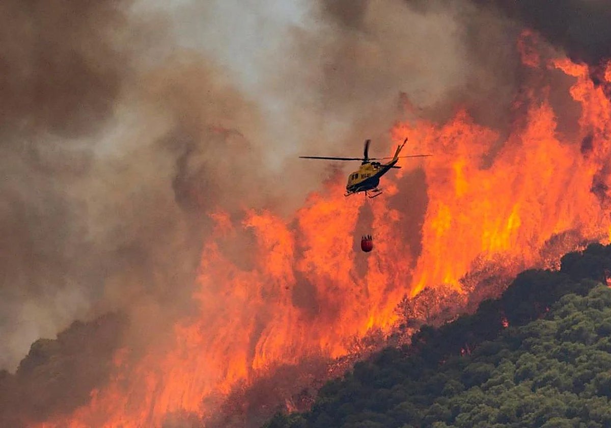 Las colillas de tabaco encendidas son la principal causa de los incendios provocados por el ser humano
