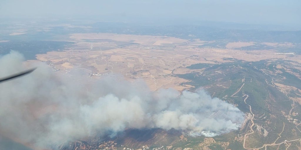 Los incendios de Andalucía, en cifras: 651 incendios y 5.090 hectáreas quemadas