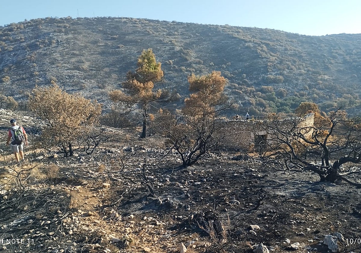 Un senderista junto a uno de los pozos de nieve en una zona devastada por el incendio en Ibi (Alicante)