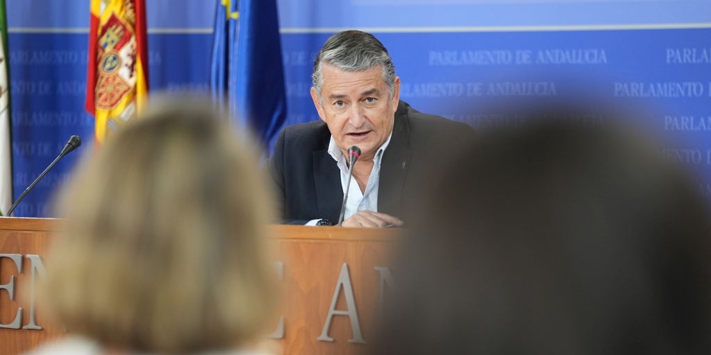Antonio Sanz revienta la estrategia nacional del PSOE con una comparecencia a petición propia para informar sobre los incendios