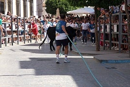 El emocionante Toro de Cuerda de Carcabuey, en imágenes