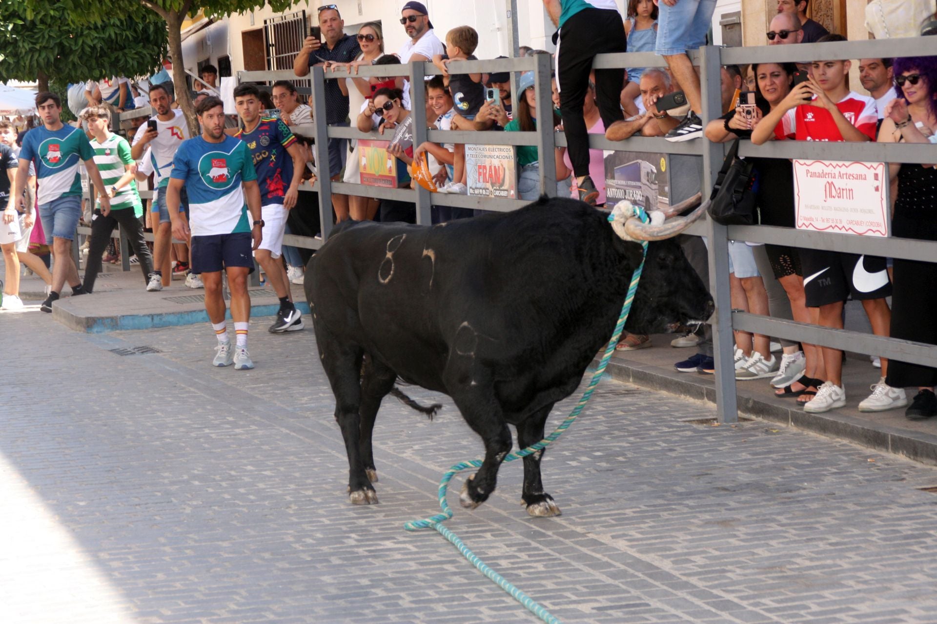 El emocionante Toro de Cuerda de Carcabuey, en imágenes