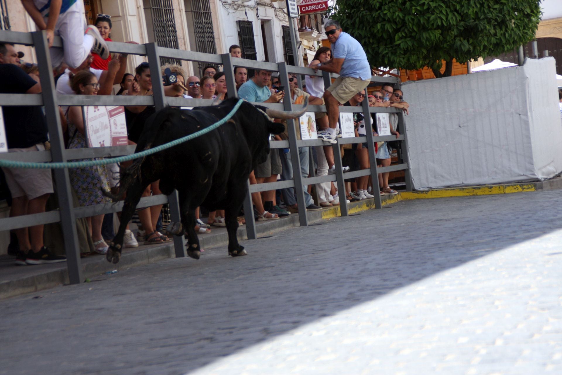 El emocionante Toro de Cuerda de Carcabuey, en imágenes
