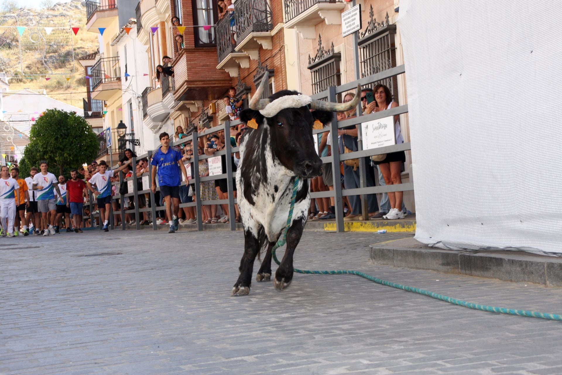 El emocionante Toro de Cuerda de Carcabuey, en imágenes