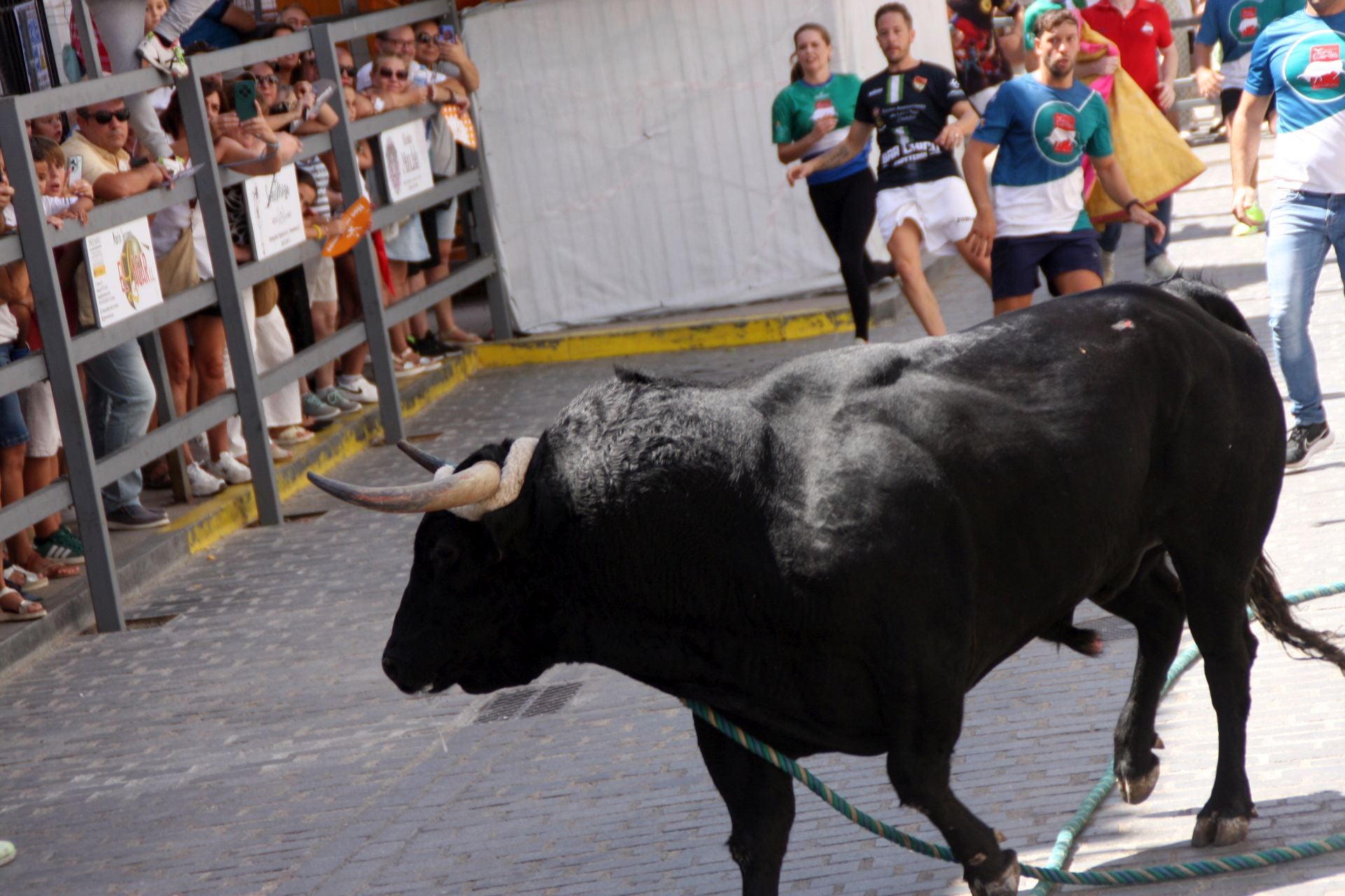 El emocionante Toro de Cuerda de Carcabuey, en imágenes