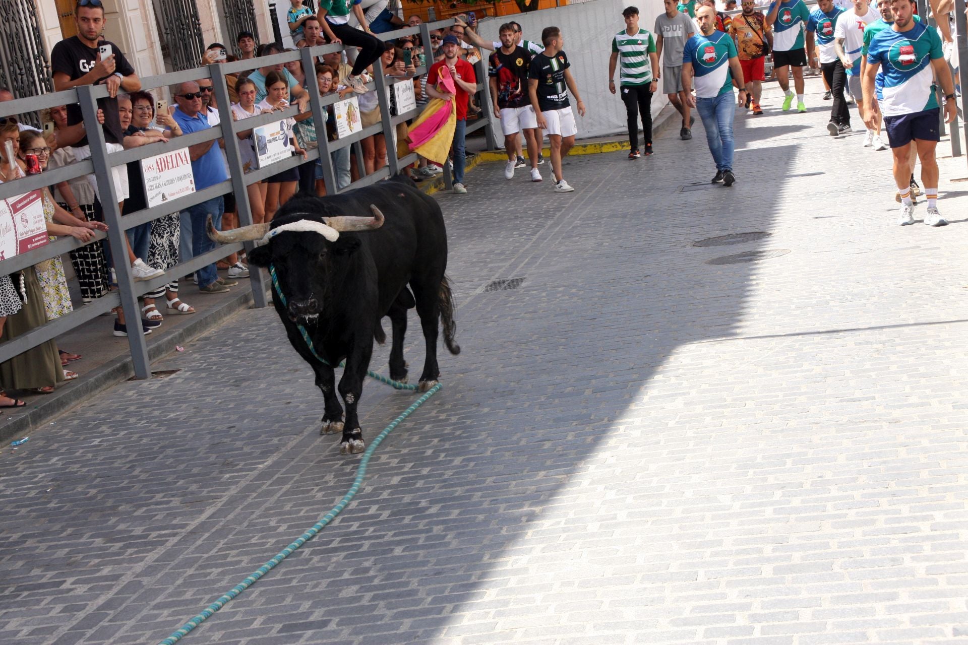 El emocionante Toro de Cuerda de Carcabuey, en imágenes